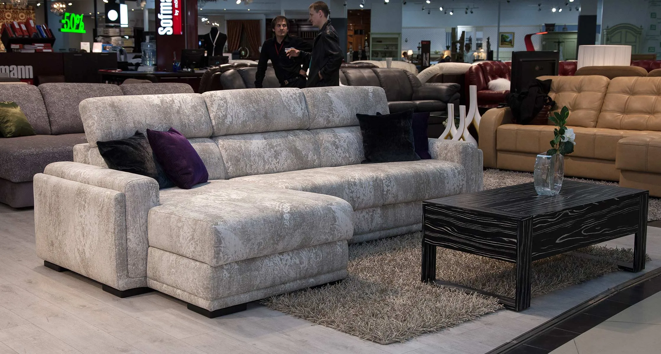 Terranova_6_Sofmann_Lincoln