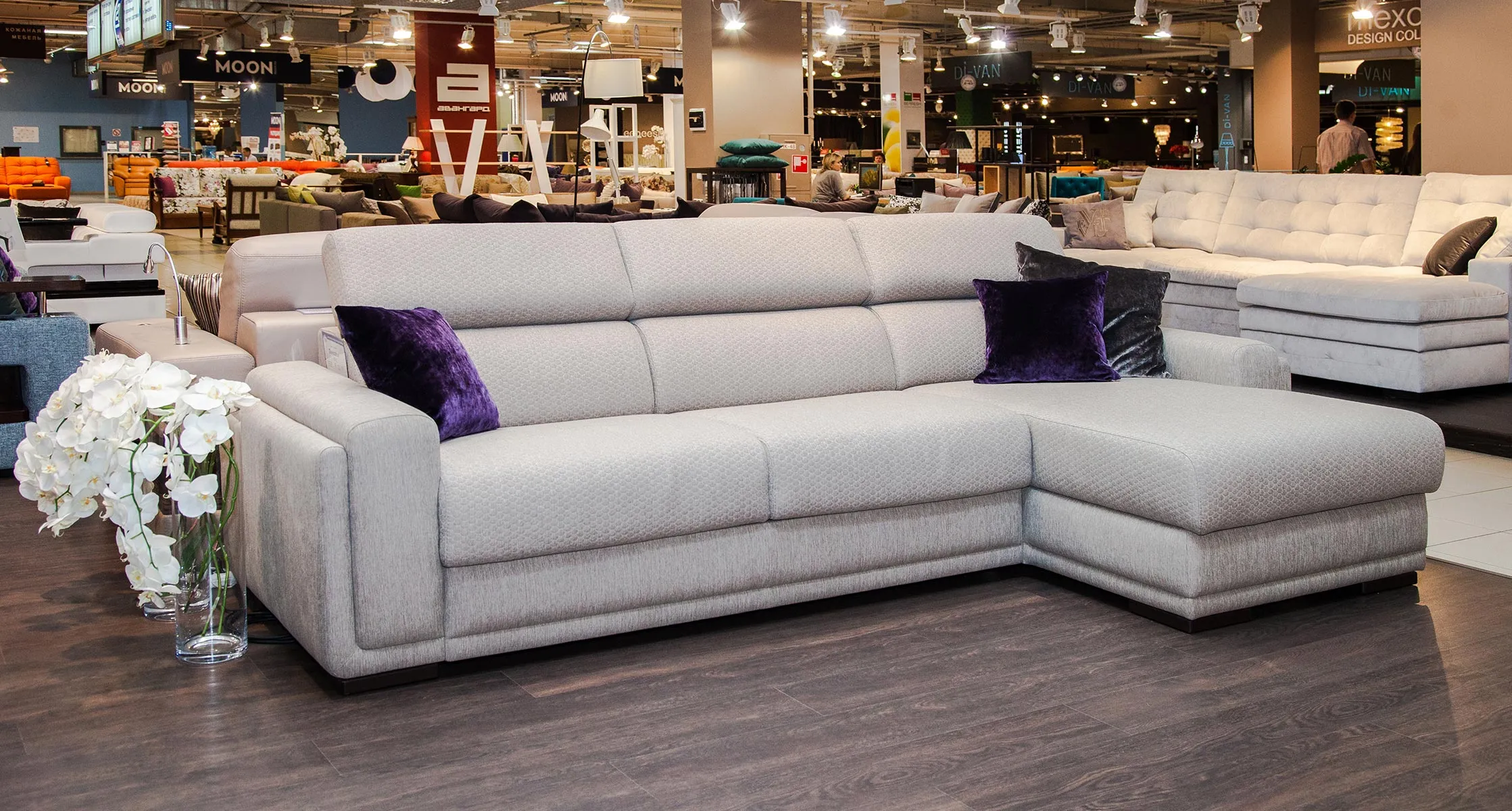 Pixel_7_Sofmann_Linkoln-(2)