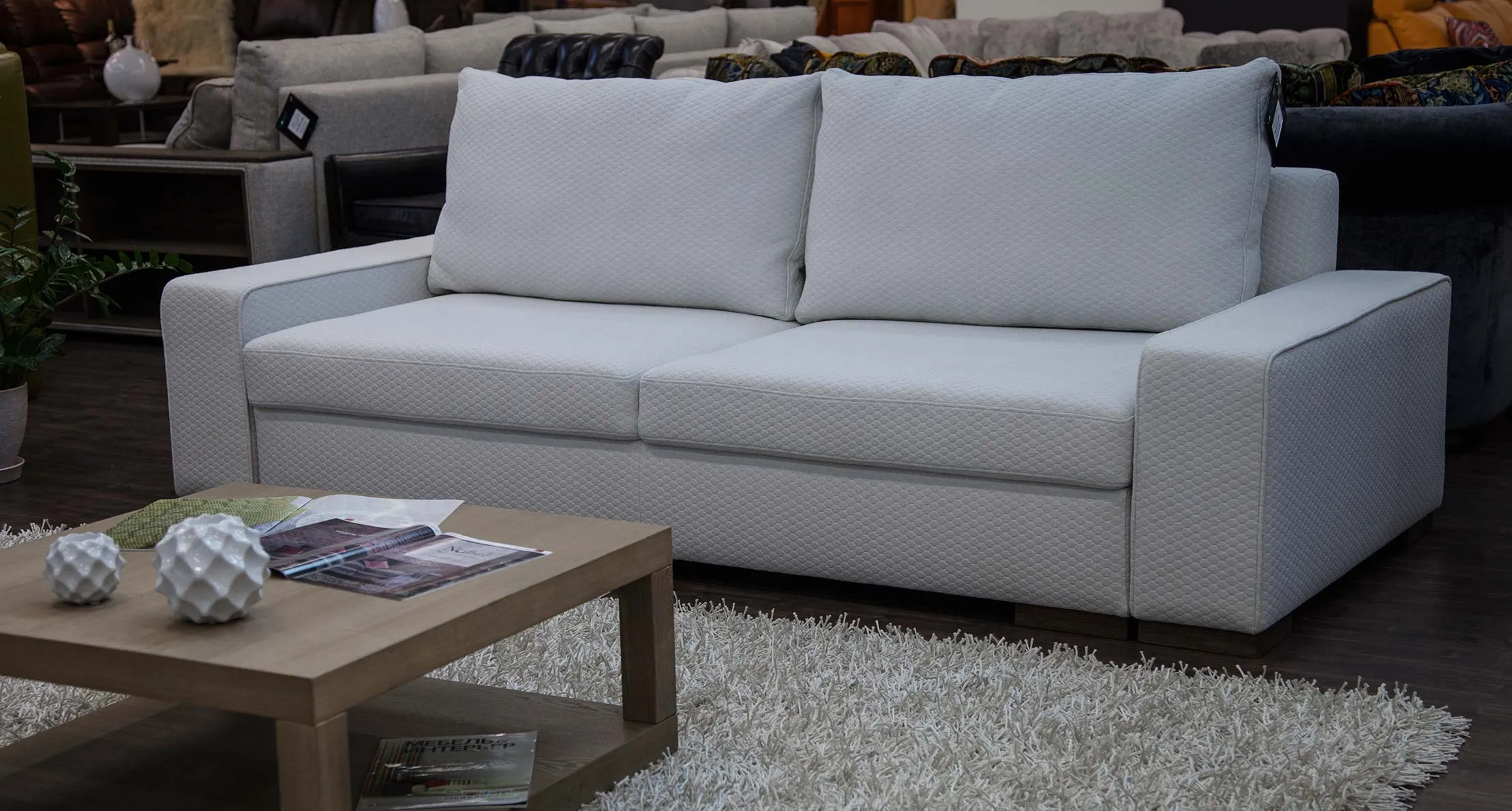 Pixel-7_Nobel_Leo(4)