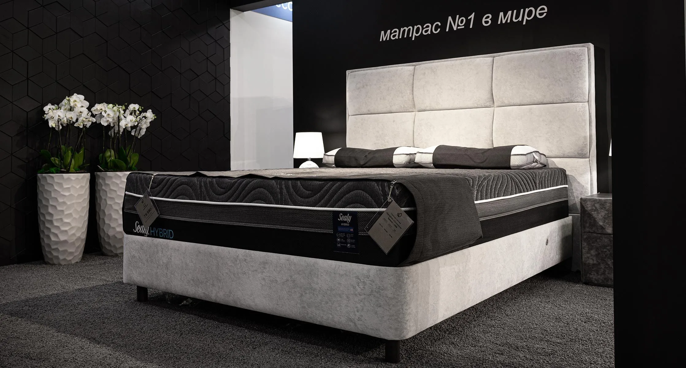 Bentley 11 Райтон Malina