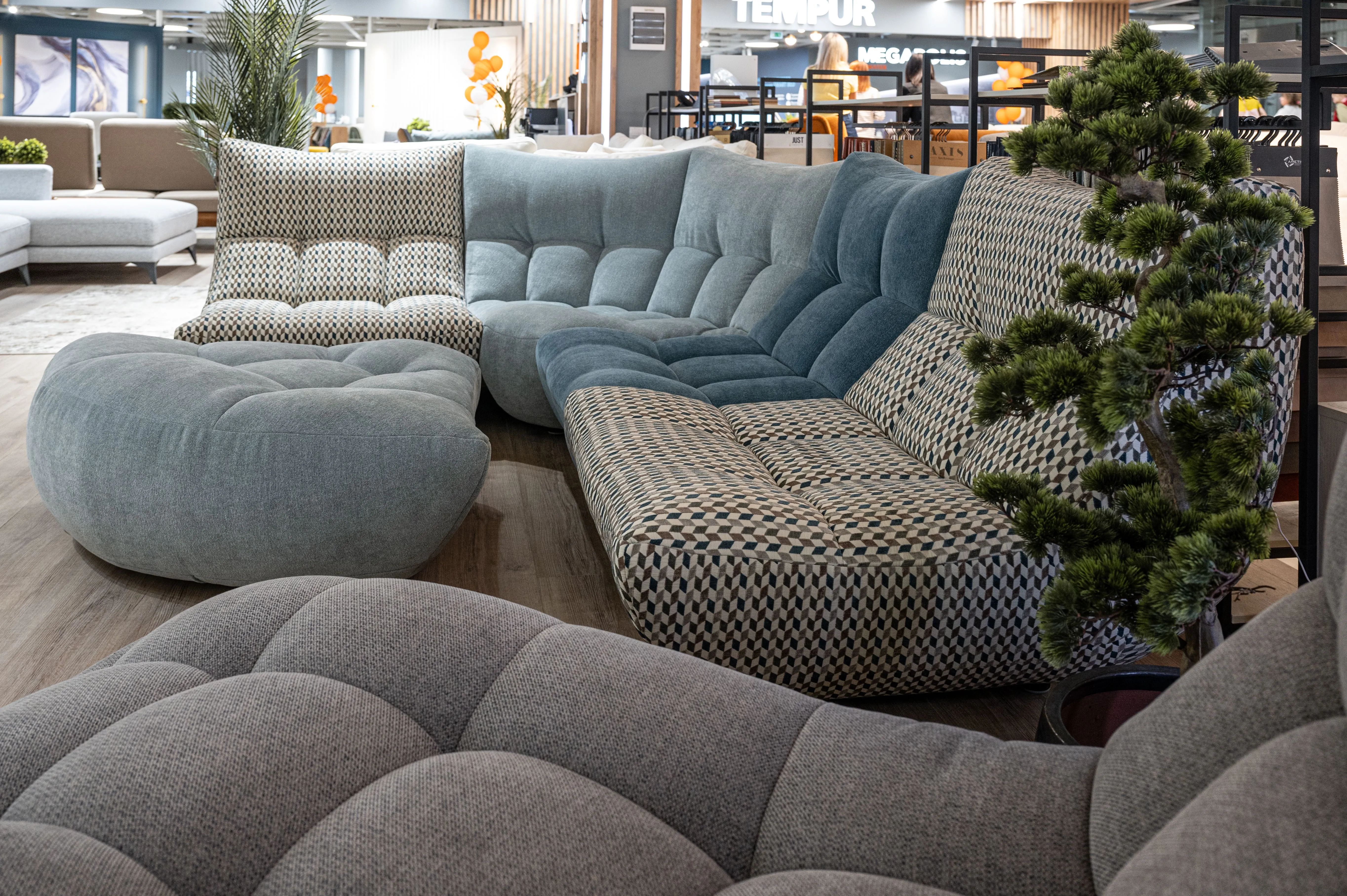  Friends 11 Friends 15 Zattera Frida