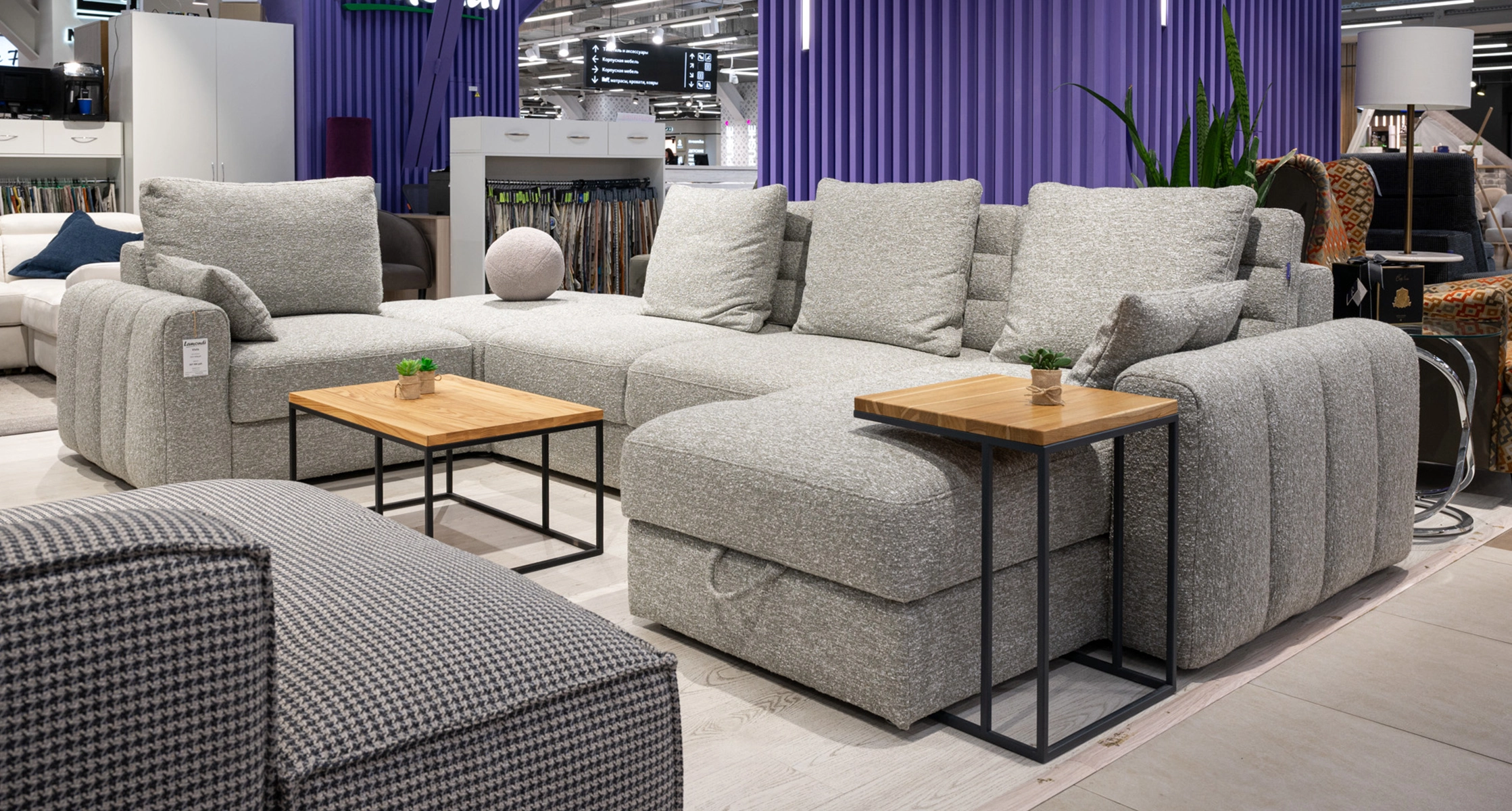 Bubbles 04 Lamondi Viola