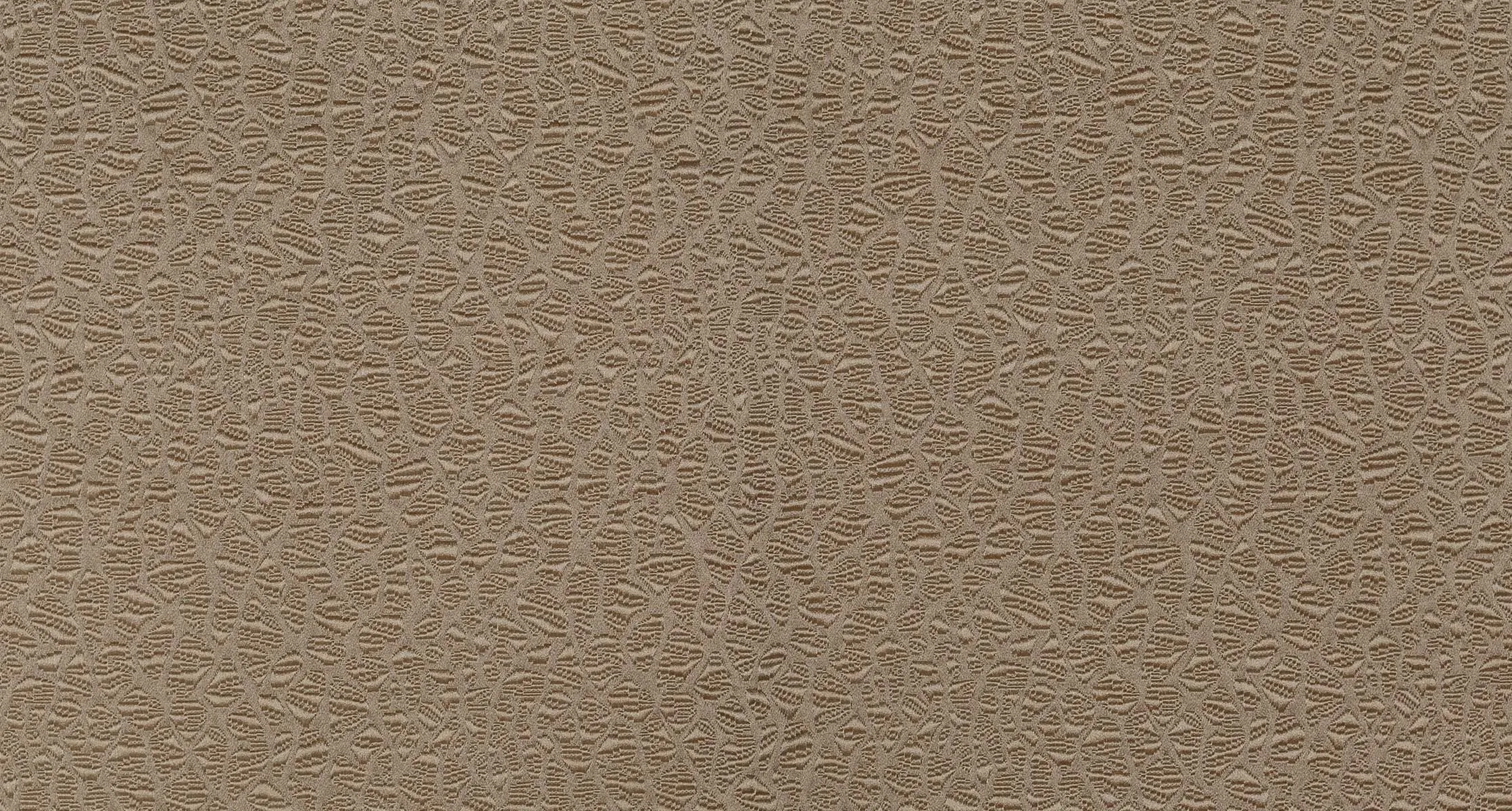 Дизайн Ткани Ragdoll\_\2