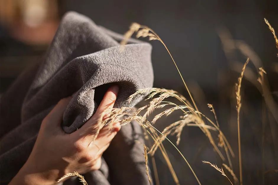 Бархатный сезон шениллов