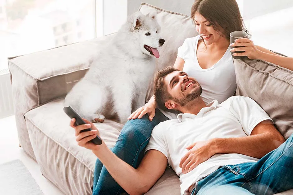 УДИВИТЕЛЬНОЕ РЯДОМ!