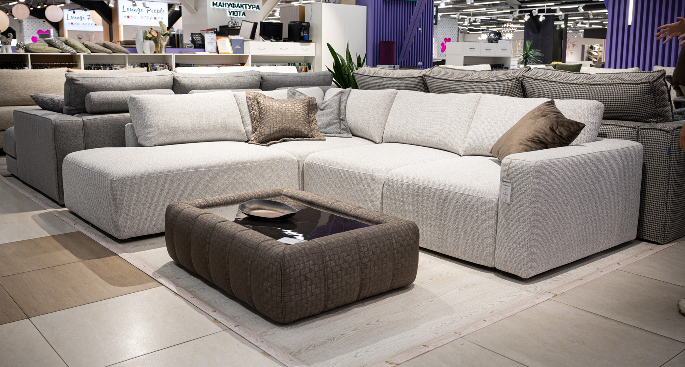 Irbis 03 Lamondi Edelweiss