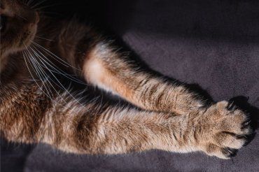 График работы в праздничные дни