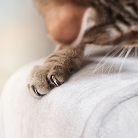 Каталог тканей Антивандальная ткань