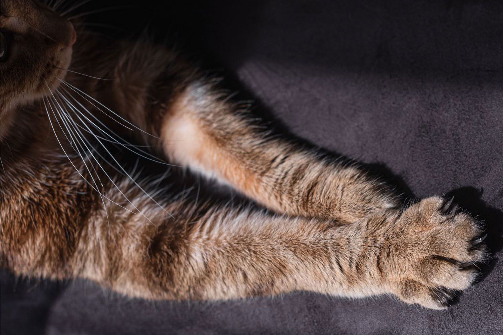 График работы в праздничные дни