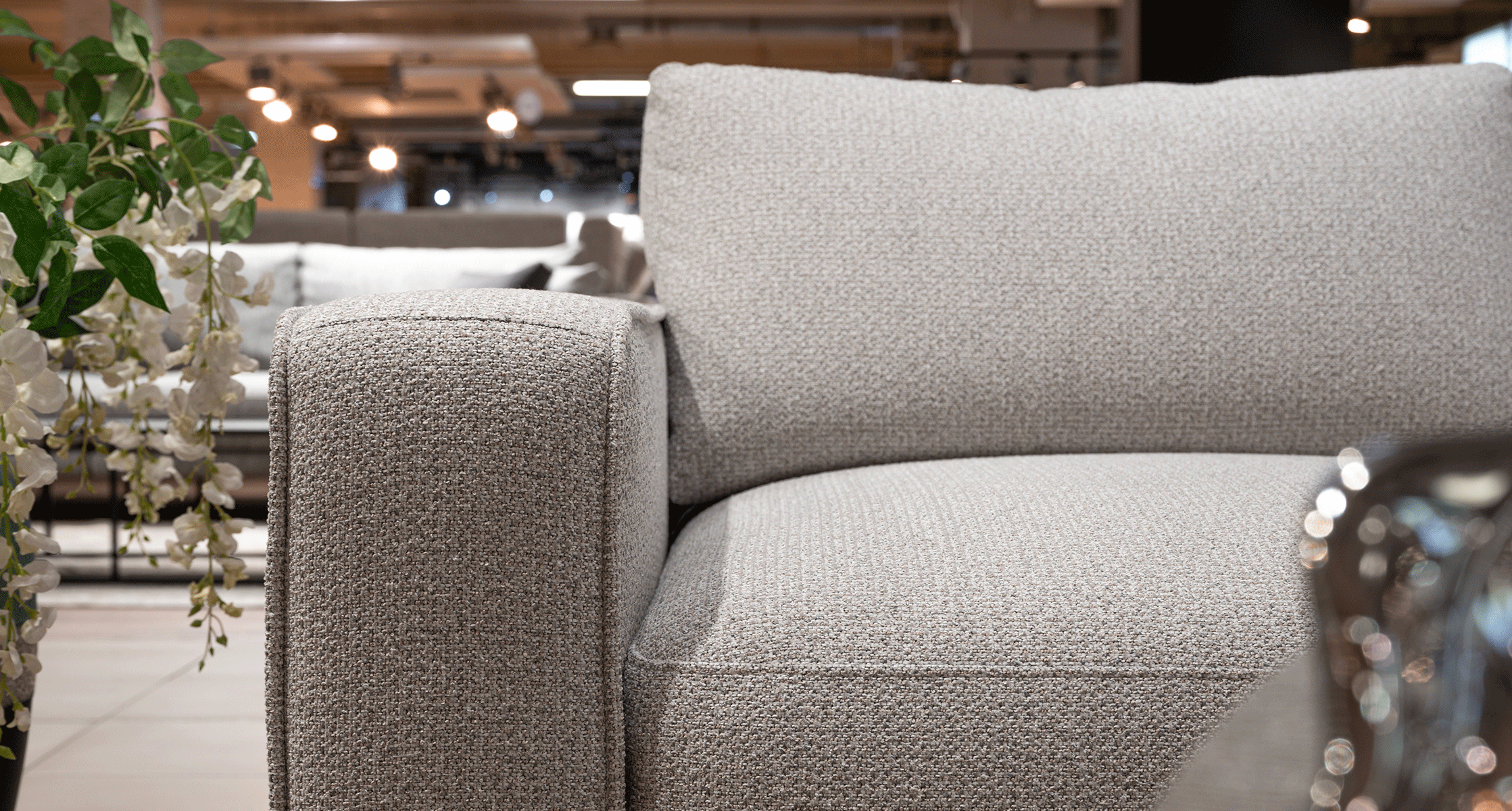 Irbis-03_Lamondi_Edelweis