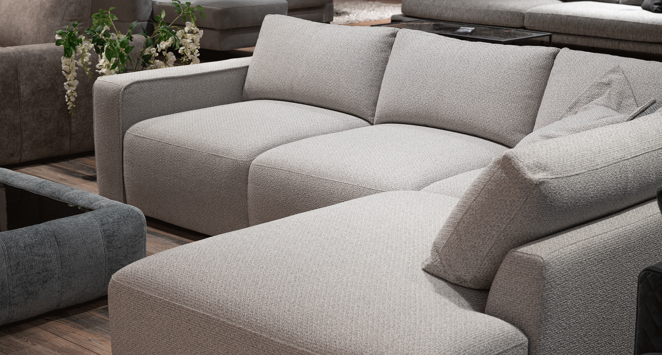 Irbis-03_Lamondi_Edelweis