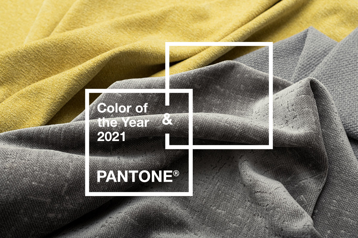 Серый или желтый? Серый или желтый?