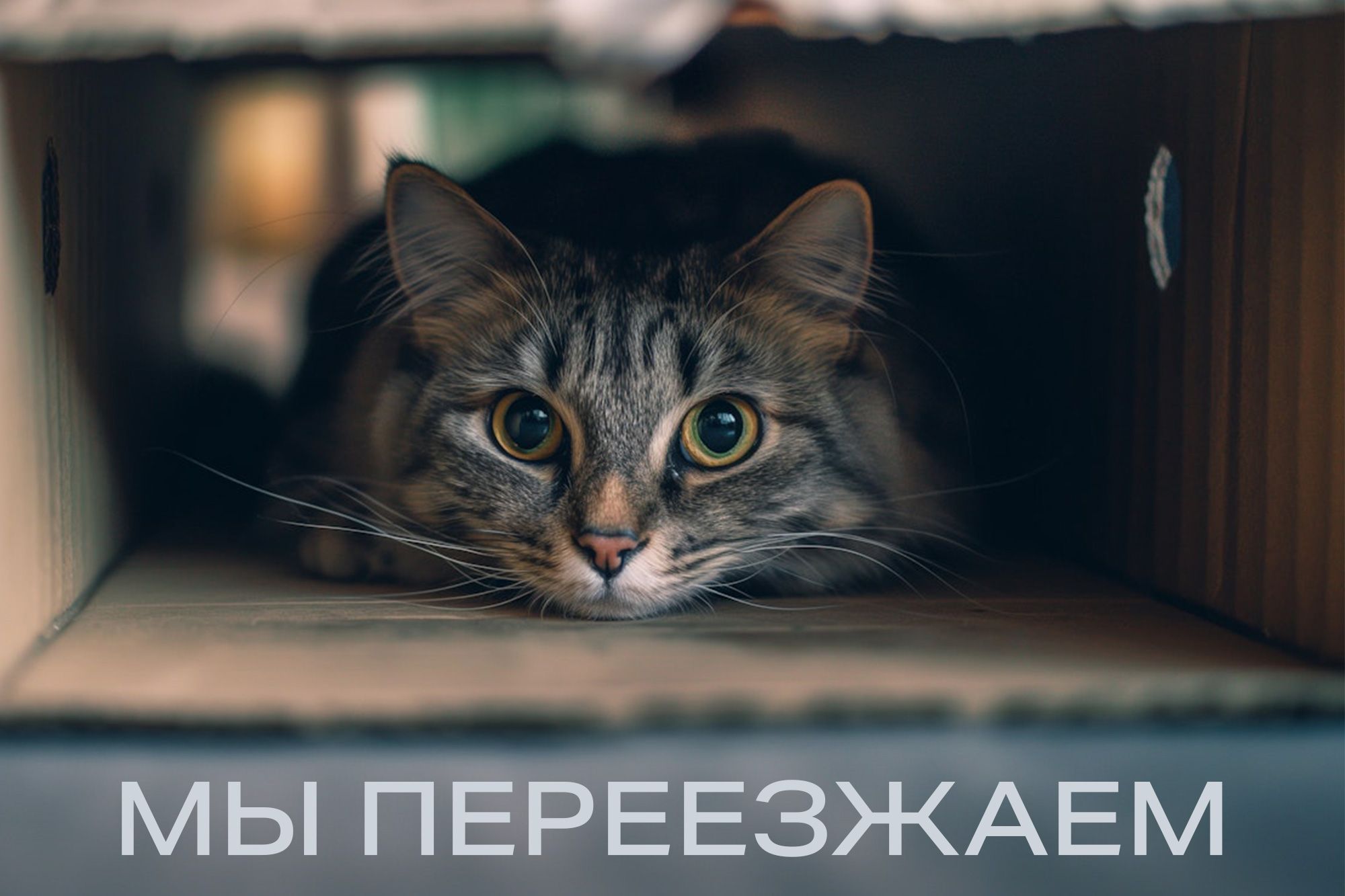 Этот день настал! Этот день настал!