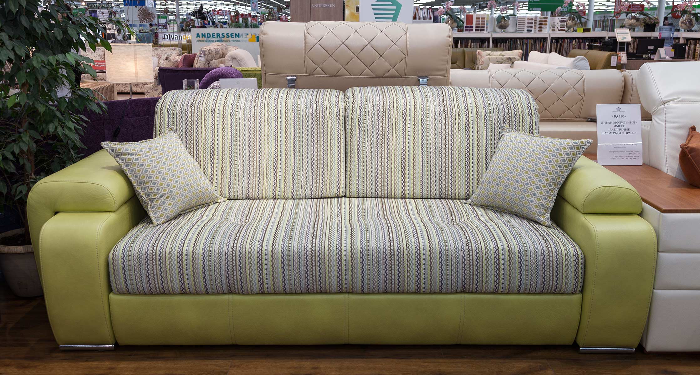 Bravo_16_Scandinavia_Maris_1_Scandinavia_Temple_1_Ymnie_divani_IQ_130